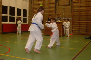 Eerste Fight Night 2013: Kumite!